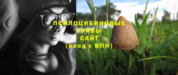 не бодяженный Осинники