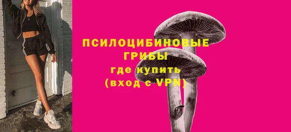 стафф Нязепетровск