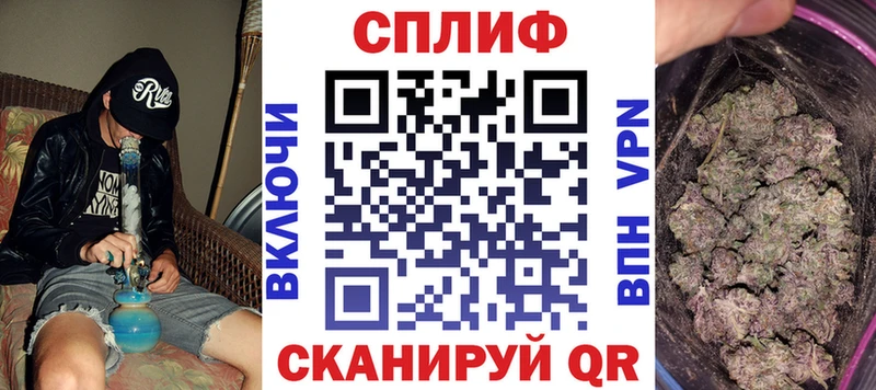 Каннабис сатива  что такое   Починок 